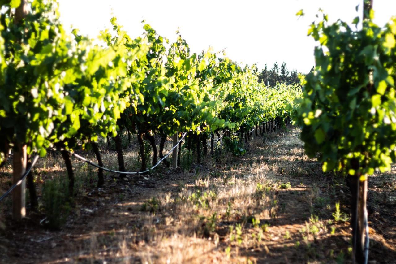 Bed and Breakfast The Vineyards Alguer Exterior foto
