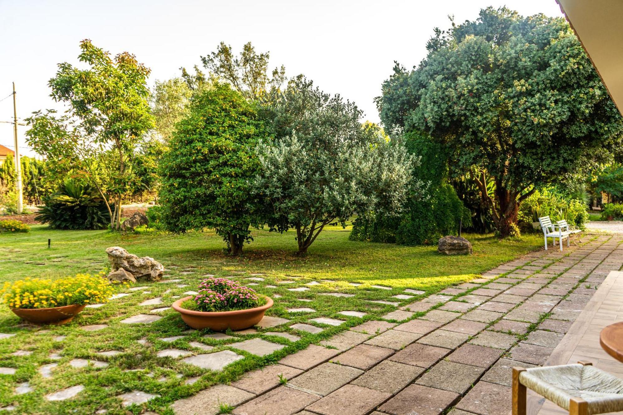 Bed and Breakfast The Vineyards Alguer Exterior foto